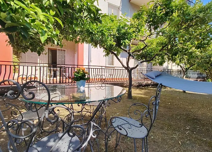 Lemon Tree