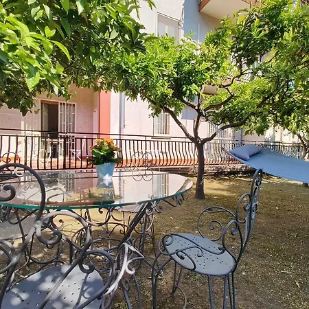 Lemon Tree