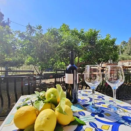 Apartment Lemon Tree *